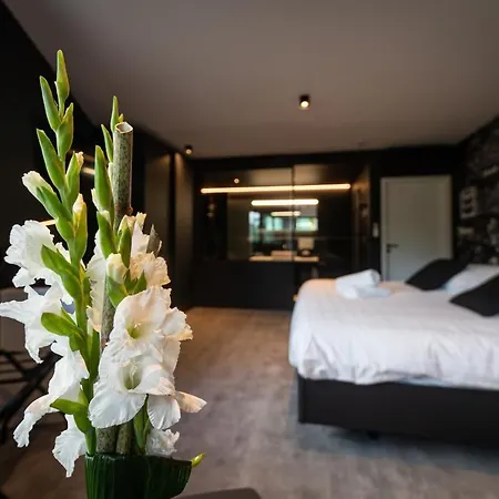 Les Thermes De By La Cour De La Reine Hotel, & Acces Gratuit Au Centre Thermal سبا