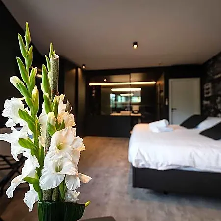 Les Thermes De By La Cour De La Reine Hôtel, Suites&accès Gratuit Au Centre Thermal Hotel Spa