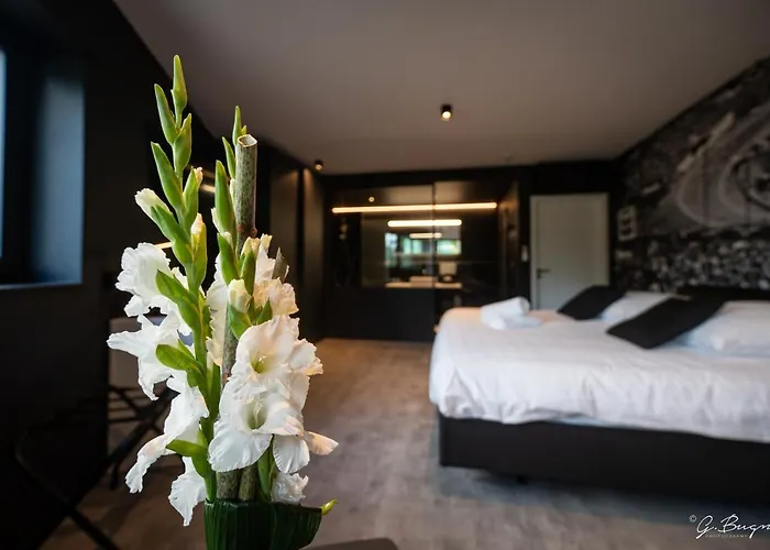 Les Thermes De By La Cour De La Reine Hôtel, Suites&accès Gratuit Au Centre Thermal Spa